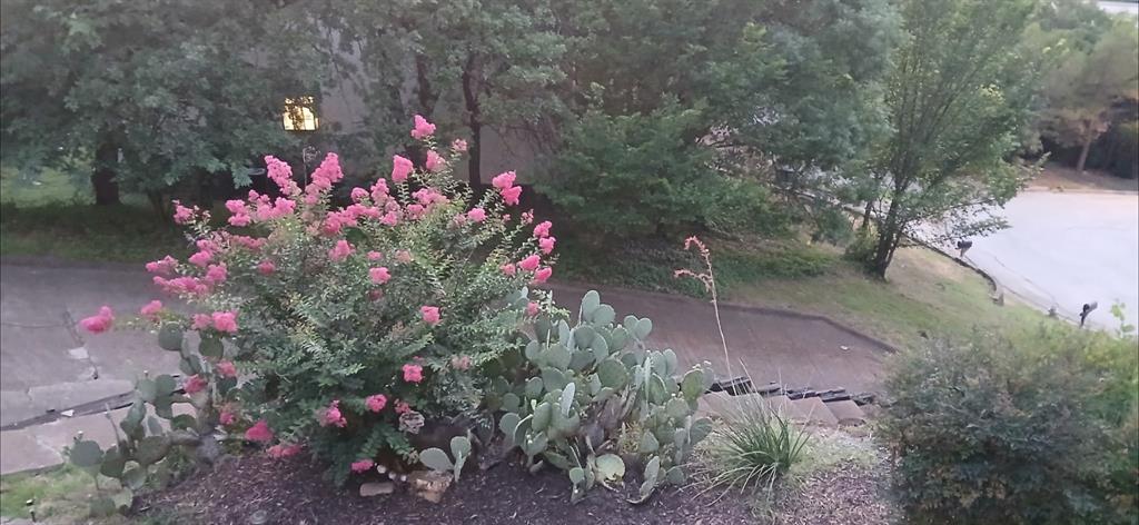 Enchanted Oaks Add - Residential