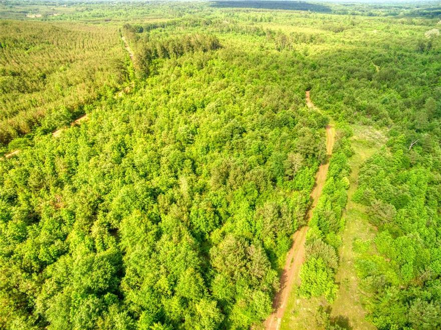 *Surveyed out as 613.489 acres* of natural beauty spanning 6 contiguous tracts of land. This expansive property boasts the convenience of county road frontage on 2sides & the tranquil embrace of Brushy Creek along its eastern boundary. Immerse yourself in the great outdoors -add'l wet weather creeks that attract a thriving ecosystem including deer, hogs, bobcats &even occasional turkeys. This property is a dream come true offering endless opportunities for hunting & recreation. Explore a network of well-maintained roads &trails perfect for horseback riding or ATV adventures. With easy access to every corner of the land the possibilities are limitless. Invest in your future with substantial income potential from a heavy plantation pine presence featuring both handplanted &naturally regenerated trees. The property currently has a timber exemption& a well-structured tree farm management plan in place. Escape the hustle&bustle of city life & find serenity in your own slice of paradise.