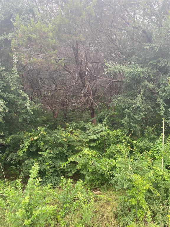 DECORDOVA BEND EST - Land