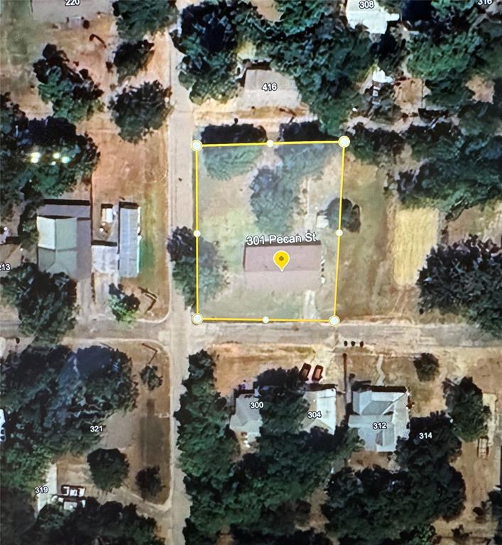 301 Pecan Street