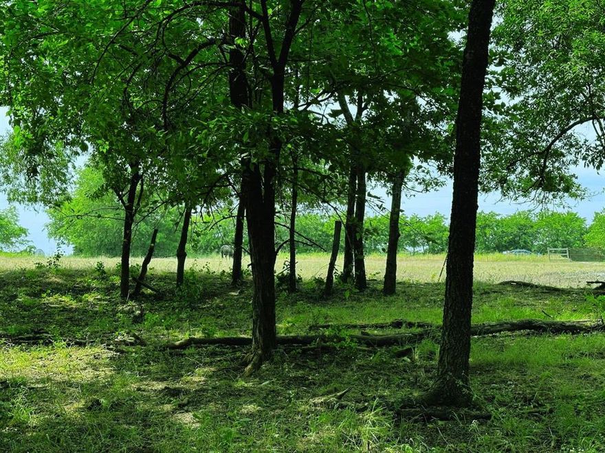 Rare opportunity! One full acre with a new water meter in place and all-weather access. A double gate entryway opens to the scenic and peaceful land.  A full perimeter fence is in the works. The property features panoramic views and just the right mix of towering trees with no underbrush plus open hay meadows. Close to preferred schools, shopping, employers, and entertainment. Utilities available. Just minutes to highways for an easy commute to Sherman, McKinney, Frisco and DFW. It's the perfect place for building a home, recreation, having a hobby farm, and more. Currently approved for taking non-binding reservations while pending final plat approval anticipated the first week of January. All of the work is done.