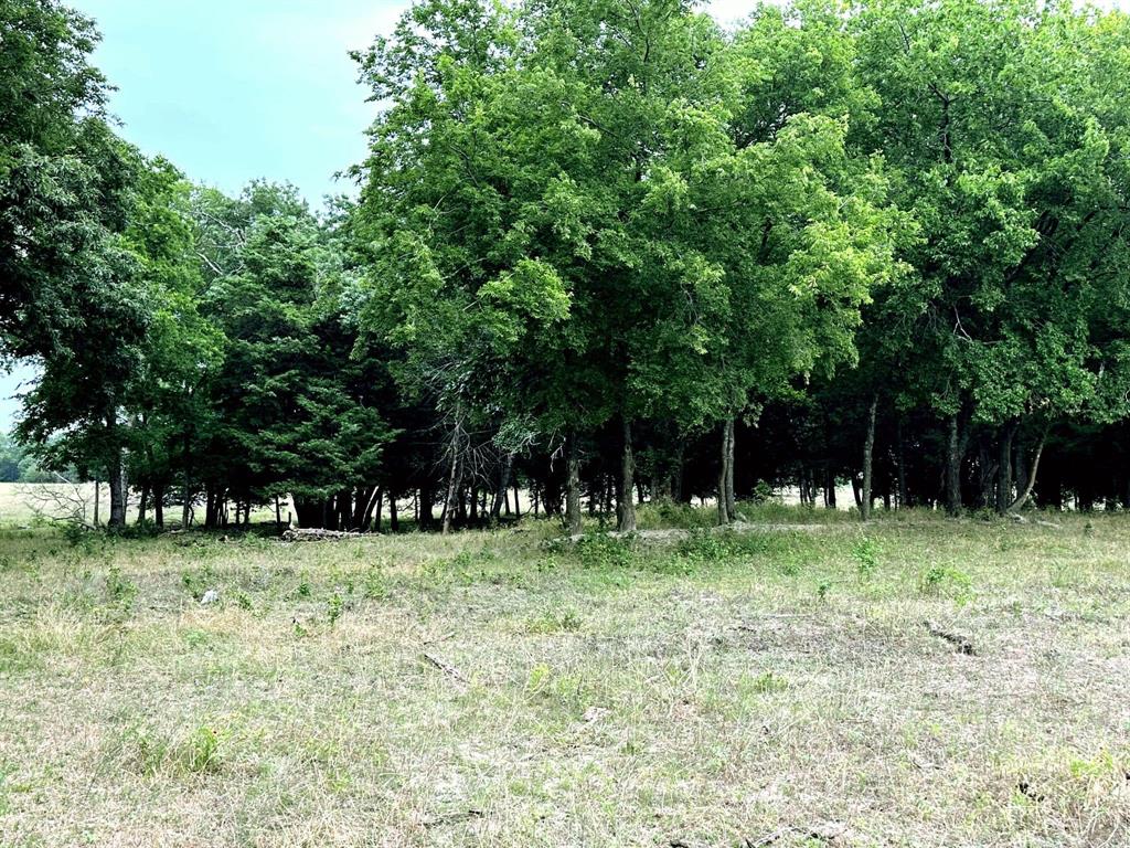 Thomas Andrew - Land