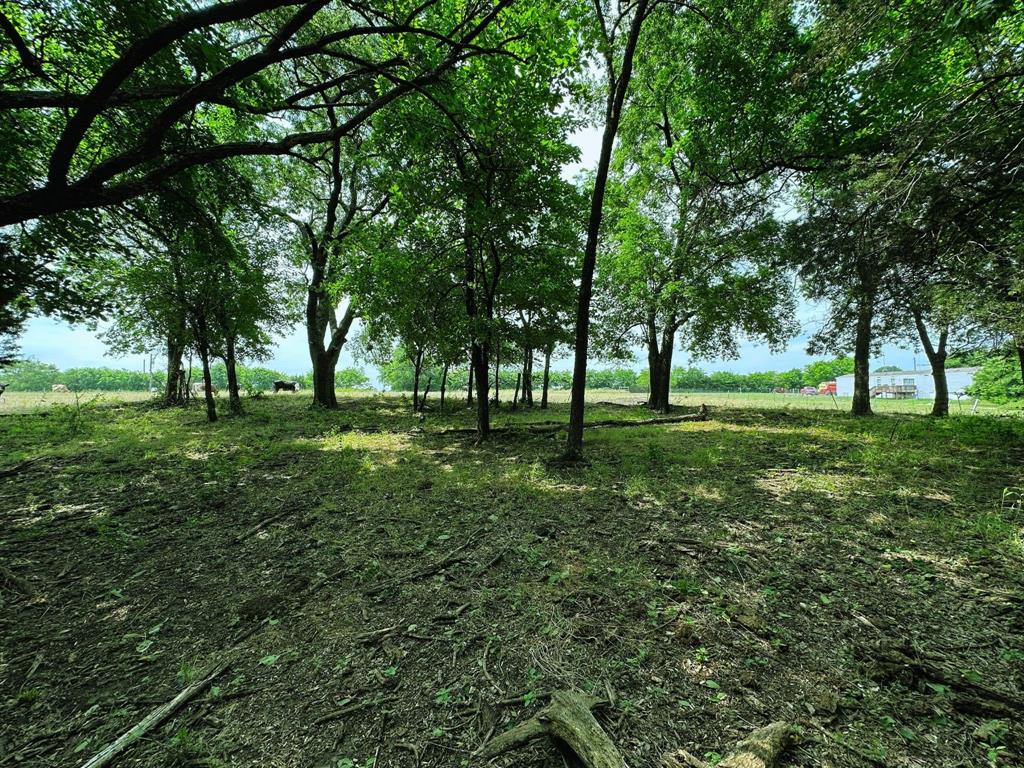 Thomas Andrew - Land