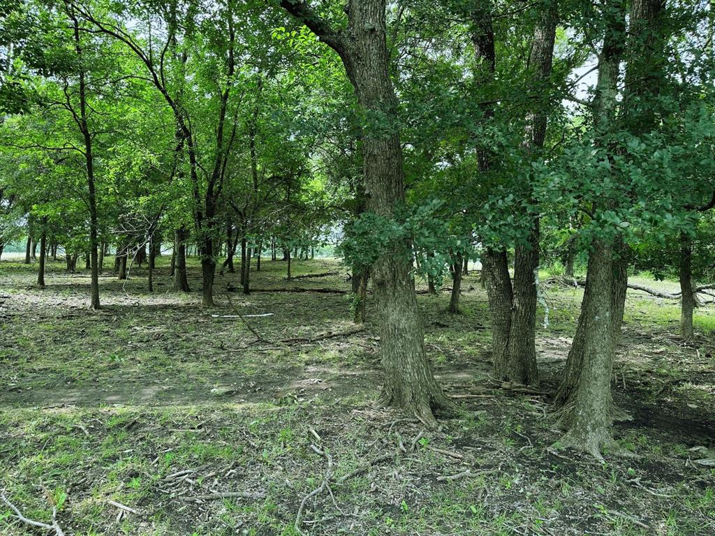 Thomas Andrew - Land