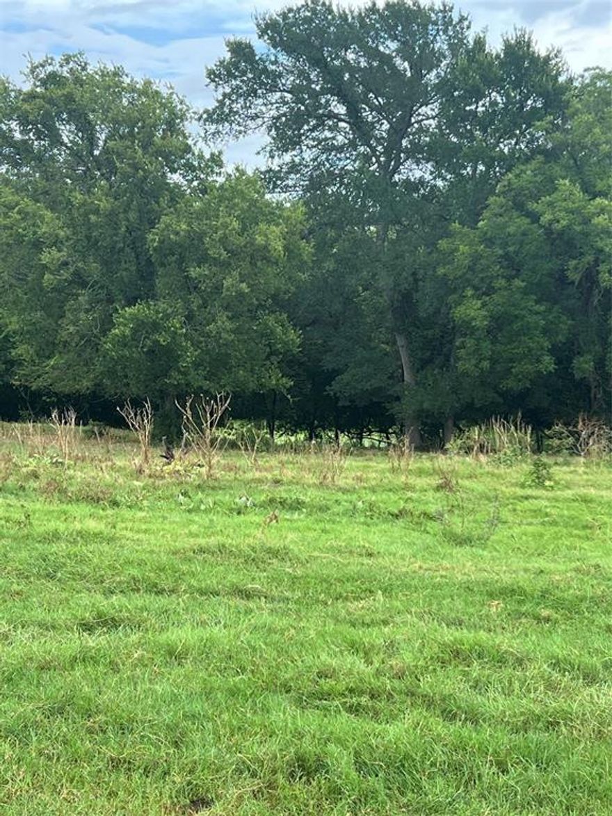 This 96.45 acre property in Boyd ISD offers an excellent combination of agricultural, recreational, and hunting opportunities, with direct Trinity River frontage along the southern boundary. The land is currently used for farming, grazing, and wildlife management, and features a mix of open pasture, established tree lines, and abundant wildlife throughout. Much of the property is located within the floodplain, making it well-suited for hay production, cattle operations, or recreational use. With river access, existing trails, natural cover, it provides and ideal environment for deer and hog hunting or enjoying peaceful time outdoors. Conveniently located in Wise County with easy access to major highways, this tract offers privacy, natural beauty, and strong future potential-making it a great option for ranchers, outdoor enthusiasts, or investors looking for a sizable piece of land in a growing area.