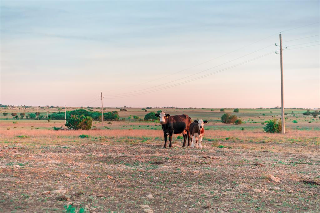 T S Lubbock Surv Abs #500 - Land