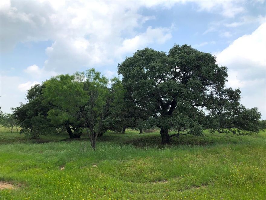 Claim your own piece of Ledge Stone Ranch in Brown County, TX, a thoughtfully planned development where gentle hills, native trees, and open grassy spaces await your vision. Lot 30, a 10-acre parcel, offers 540 feet of county road frontage, blending privacy with accessibility. Electricity, water, and internet service are available.

The property features a 30-foot elevation change from the front down to a scenic wet weather creek at the back, adding natural charm and vivid beauty to the landscape. The land’s wildlife exemption helps moderate property taxes.

Perfect for a future home, personal retreat, or long-term investment, this tract invites you to own a rare piece of Central Texas. Just minutes from thriving Brownwood, 2½ hours to Dallas or Austin, and 4½ hours to Houston, this property combines the peace of country living with easy access to major cities. The beautiful Lake Brownwood is 20 scenic miles away.

Let’s schedule a viewing, explore the property in person, and take the first step toward starting your new chapter here!