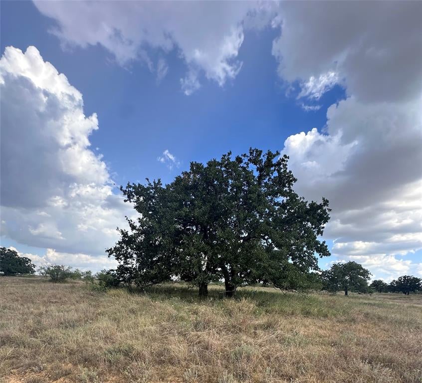 384 County Road 406