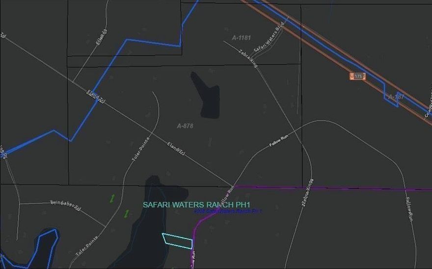 FOLKS, THIS COULD VERY WELL BE THE BEST PIECE OF LAND IN ALL EAST TEXAS. You'll notice that it's a waterfront lot and 1.2 acre spot on to an already built and established in Safari Waters Ranch_take a drive to see it for yourself. Lace up your tennis’s and catch a nice sunset_Be sure to envision your dream home while you're up there and view three spring-fed lakes stocked with trophy-bass, crappie, bream, catfish, hybrid bream and beyond will drop your jaw— exotic wildlife Zebra, Blackbuck Antelope, Fallow deer, Père David's deer roam-free through the 1,800 acres with over 450 one-to-five acre home sites in a gated & wooded, environmentally sustainable community and endless possibilities for backyard-romantic outdoor kitchen, shining stars & family gatherings. Common areas with fishing docks, boat ramps, lakeside picnic, Audubon recorded over 60 different species of birds in this neighborhood. Fun times near-by 3 P's in a Vine Winery and Vineyard and 90 minute drive from Dallas.