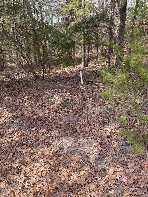 Callender Lake III - Land