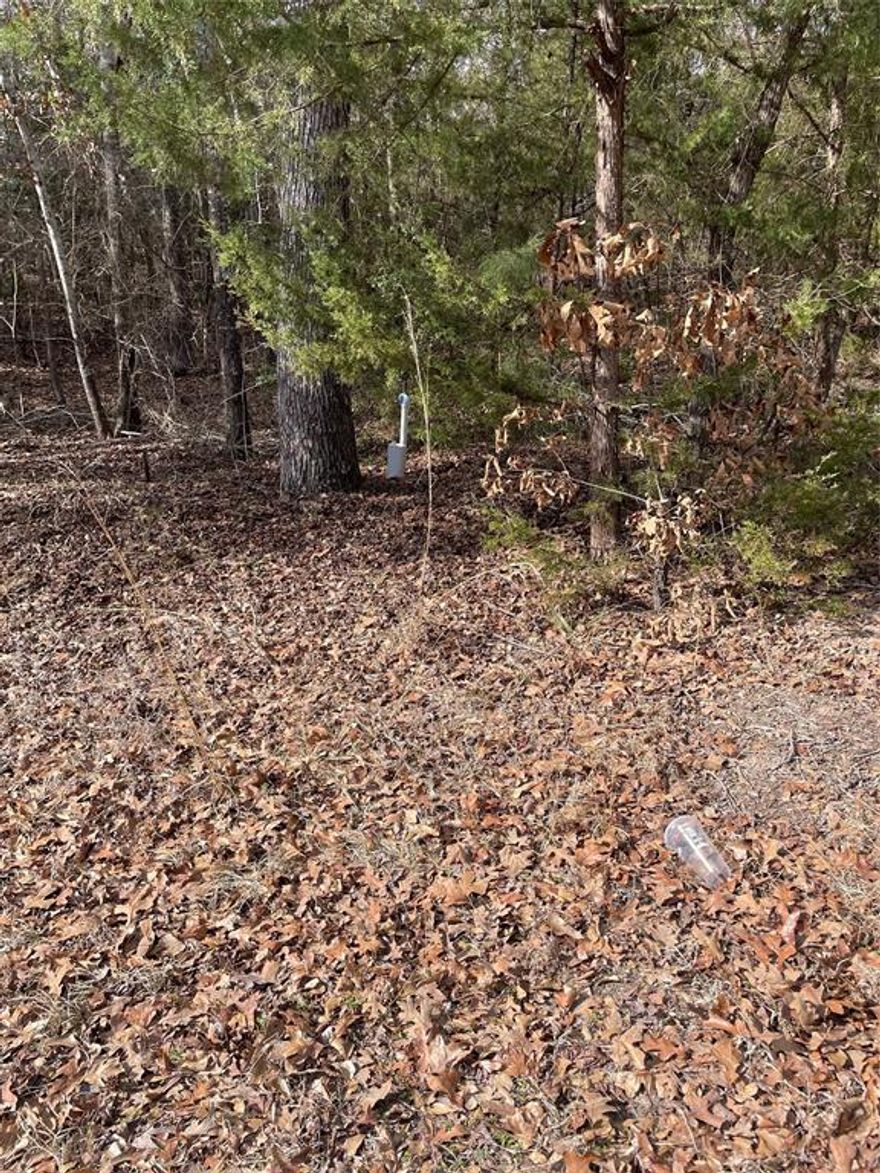 Discover the perfect opportunity to build your dream home in a desirable Callender Lake community! These three adjoining wooded lots total approximately 0.66 acres, offering plenty of space and privacy while still enjoying all the benefits of lake living.
This property provides a peaceful setting ideal for a primary residence, weekend retreat, or investment opportunity. Enjoy access to community amenities including boating, fishing, swimming, and a gated entrance for added security.