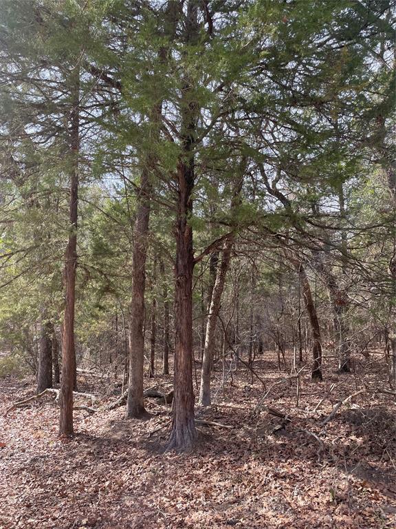 Callender Lake III - Land