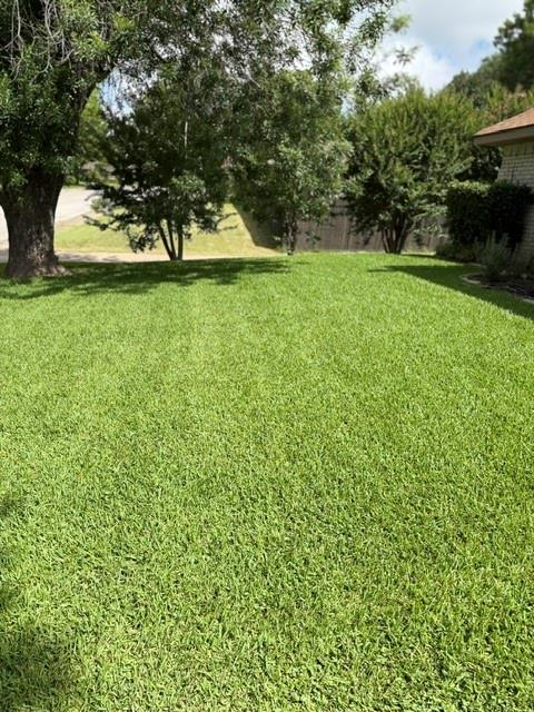 1044 Shadywood Lane