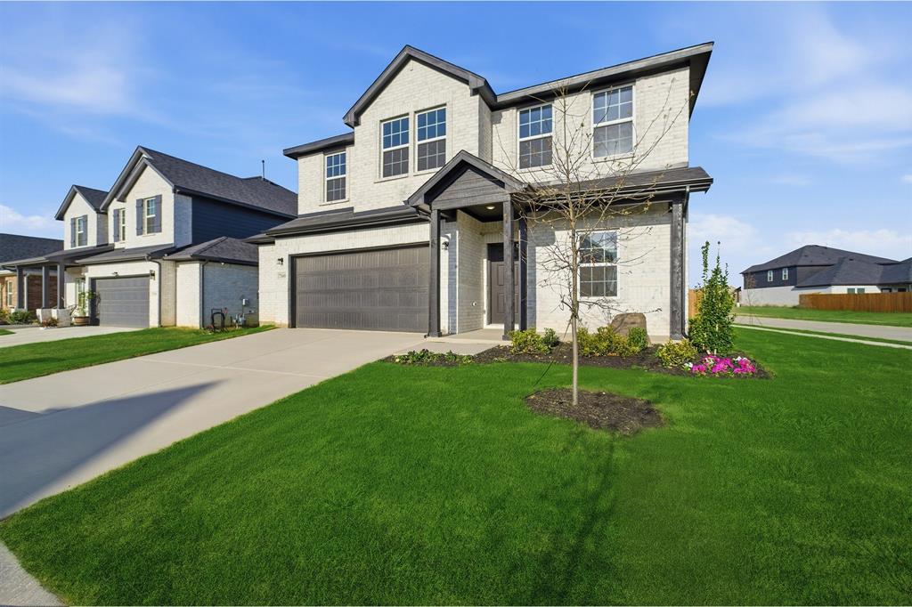 7500 Santolina Drive