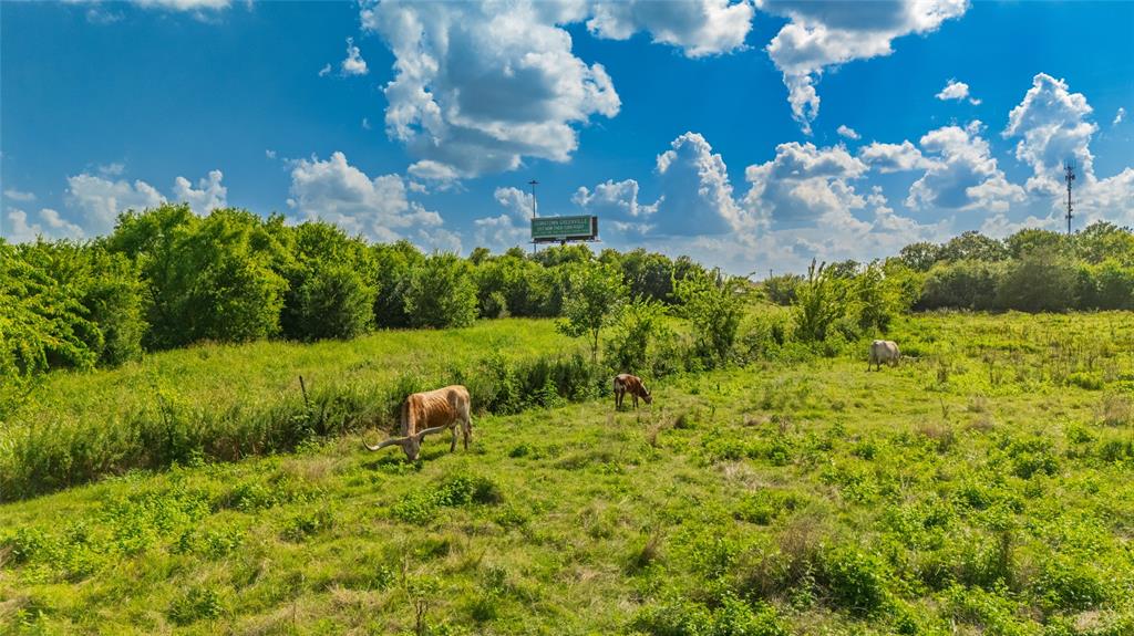 Warfield Charles - Land