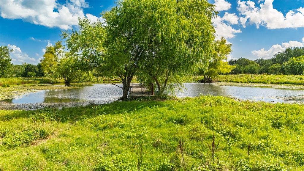 Warfield Charles - Land