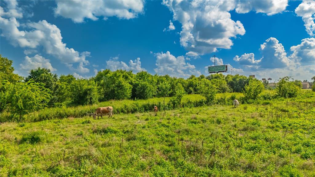 Warfield Charles - Land