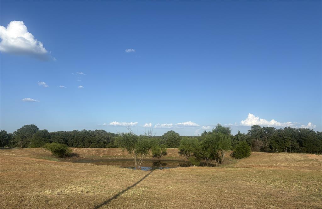 The Ranches at Blackjack Mdws - Land