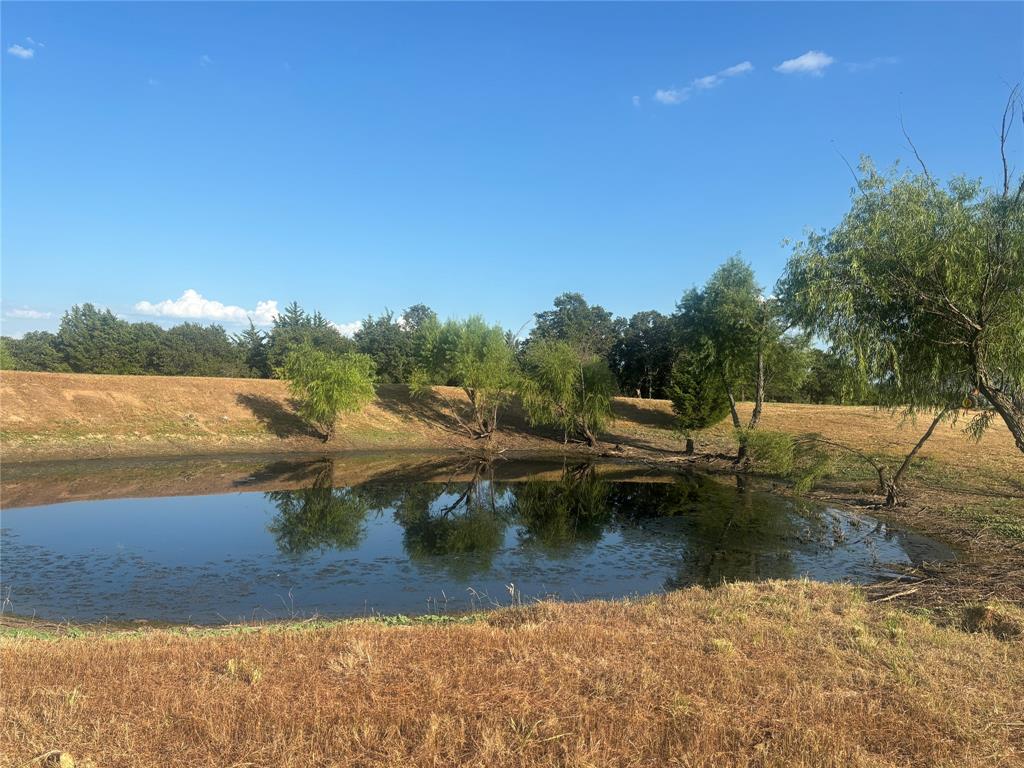 The Ranches at Blackjack Mdws - Land