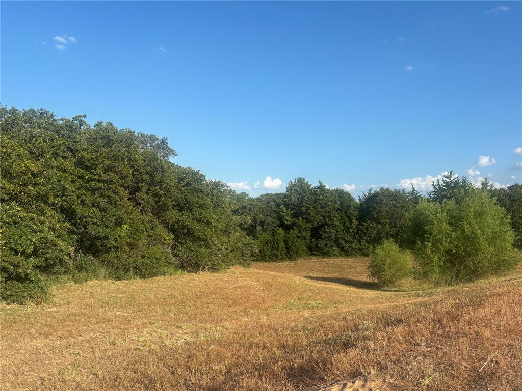 The Ranches at Blackjack Mdws - Land