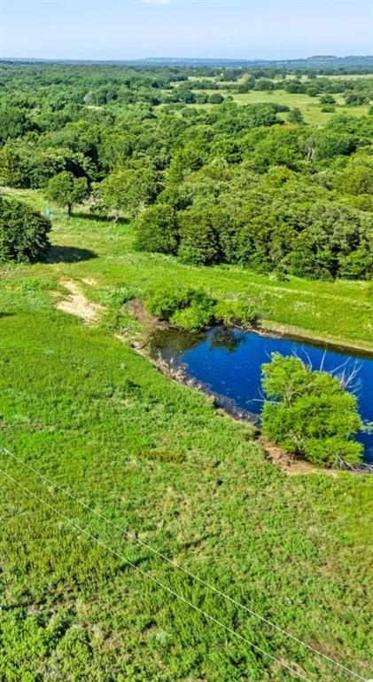 The Ranches at Blackjack Mdws - Land