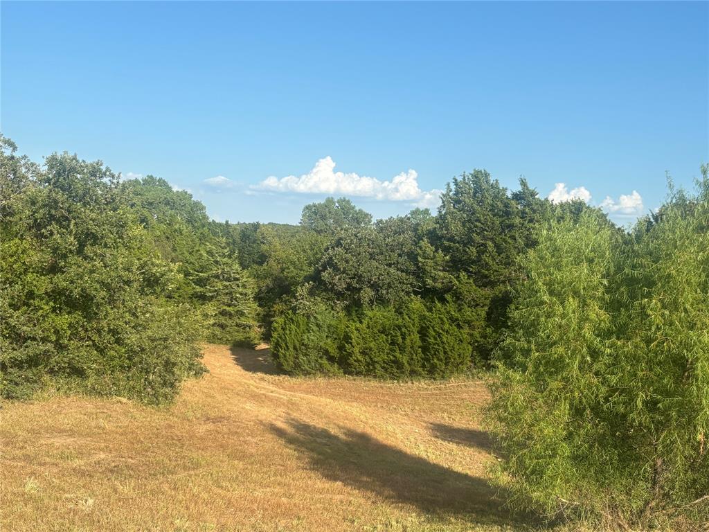 The Ranches at Blackjack Mdws - Land