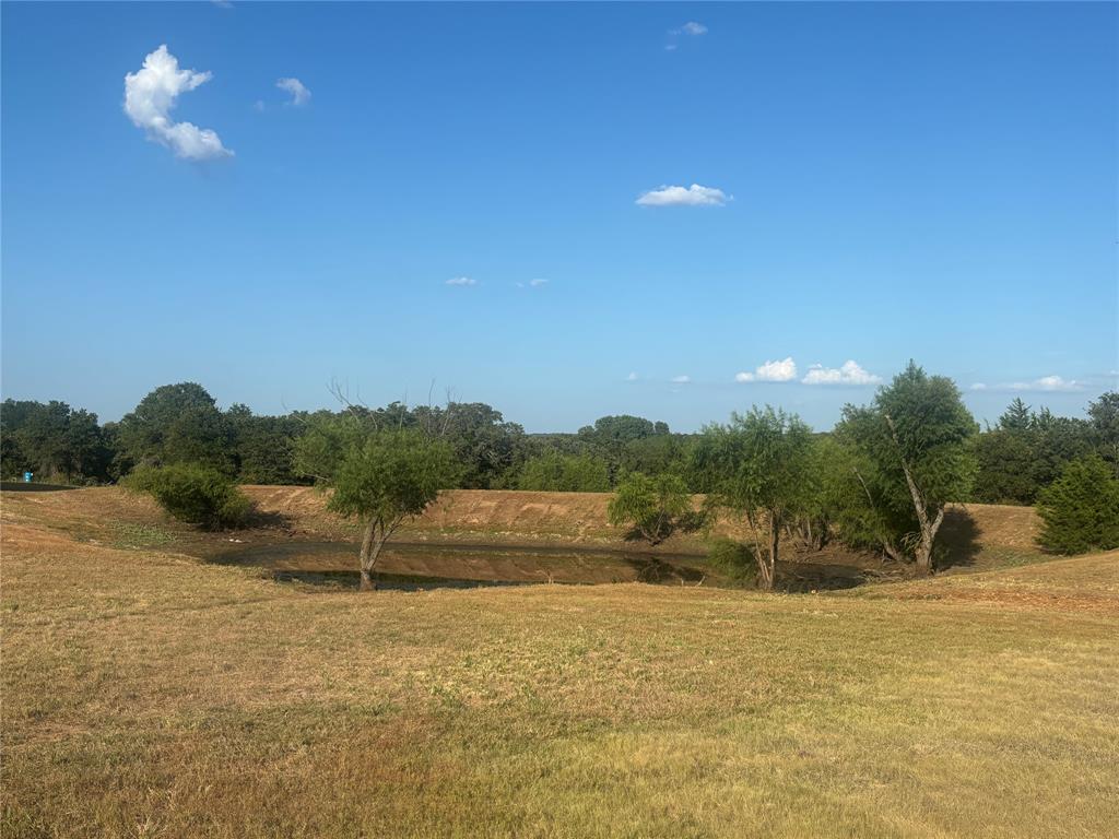 The Ranches at Blackjack Mdws - Land