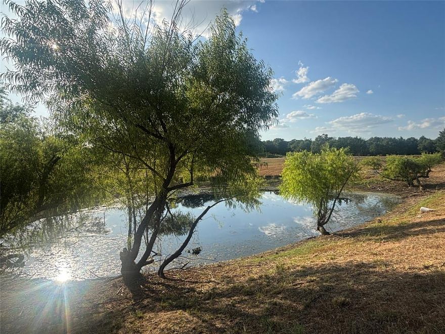 Welcome to your dream property in the stunning Ranches at Blackjack Meadows! This beautiful 5-acre tract offers the perfect blend of seclusion, natural beauty, and convenience, making it an ideal place to build your forever home or weekend retreat.

Tucked away in a quiet, secluded part of the subdivision, the property features a picturesque pond, a seasonal creek, elevation changes, and an abundance of mature trees. The back portion of the land is heavily wooded, providing privacy and a peaceful atmosphere.

With paved roads leading to the property and electricity and fiber optic available at the street, this land is ready for your vision—whether it’s a custom home, barndominium, or getaway cabin.

Property Highlights:
* 5 Acres of untouched land – a blank canvas for your dream
* Pond, creek, and large mature trees
* Secluded location within the subdivision
* Paved road access
* Electricity and fiber optic ready at the street
* Scenic surroundings and peaceful atmosphere

If you’re looking for a private, picturesque property with endless potential, this one is a must-see!

** Call today to schedule your private tour!