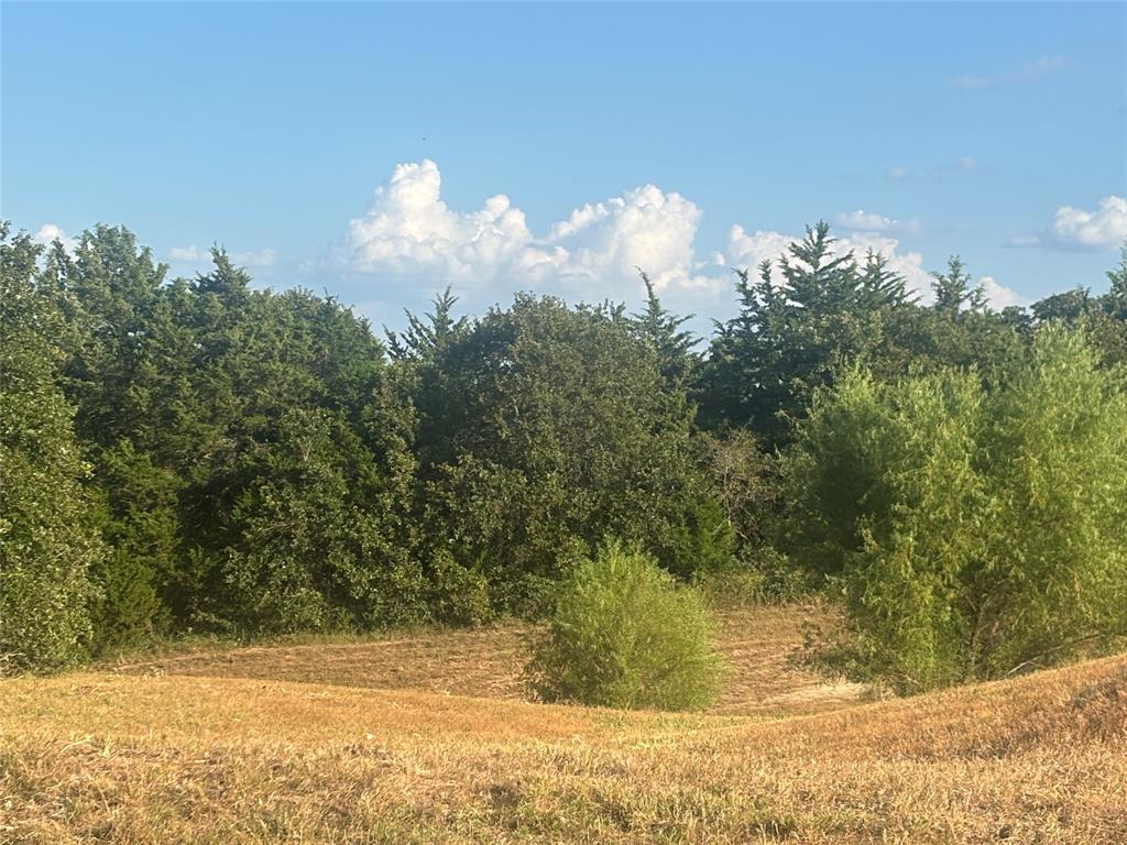 The Ranches at Blackjack Mdws - Land