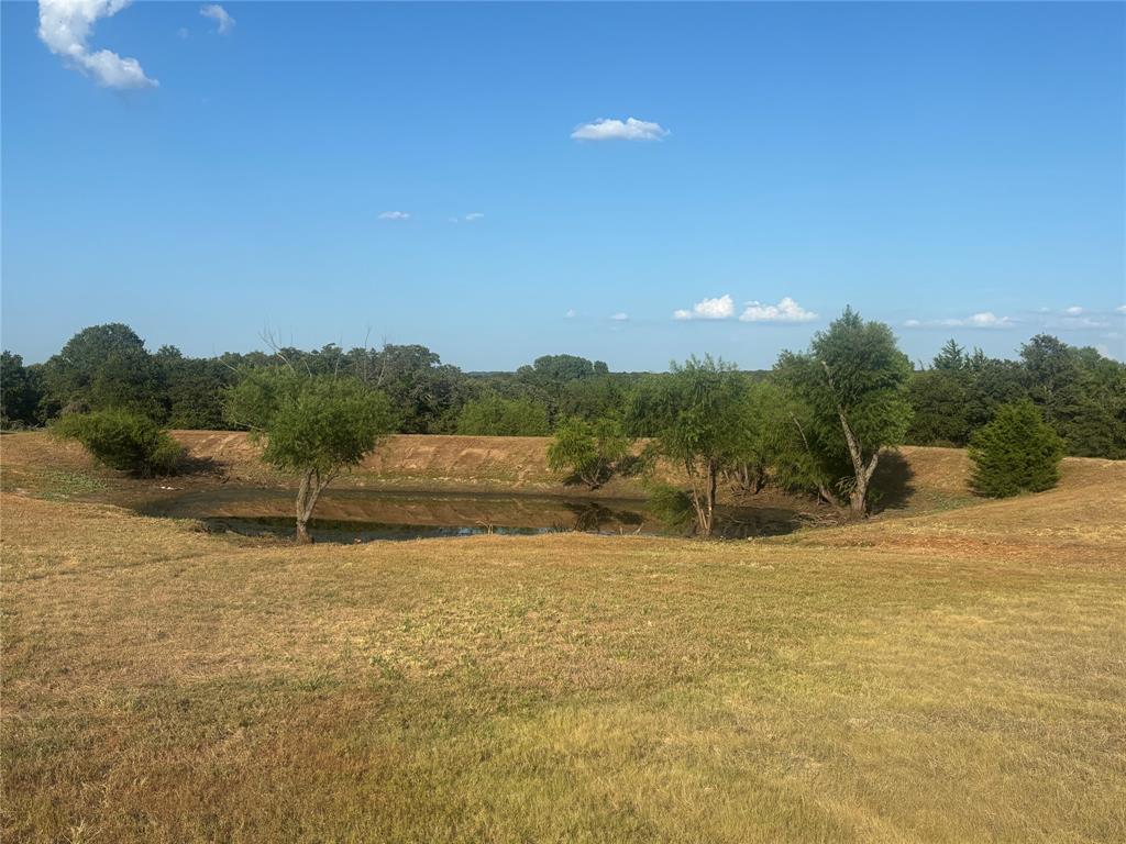 The Ranches at Blackjack Mdws - Land