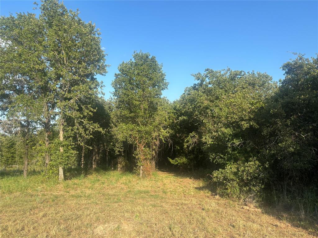 The Ranches at Blackjack Mdws - Land