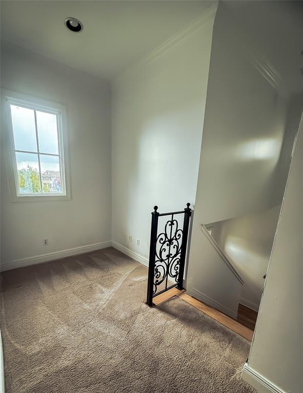 Island Park - Residential