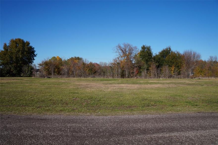 RESIDENTIAL -COMMERCIAL - RETAIL USE APPROVED!  Build your dream home or operate a business on this great level, ready-to-build lot in Lakewood Estates.  Paved street with easy access just off Key Ranch Road.  Community boat launch nearby.  Adjoining Lot#4 also available. See MLS#20487360. Purchase both lots for a perfect BUSINESS-RESIDENCE connecting space.  Added BONUS - stop by Triple N Ranch Winery and Vineyard for a glass of their special wine and enjoy watching the Longhorns come right up at feeding time!
Note: $62,000 Sales Price was for 3 lots:  Lots 3-4 Cedar Elm and Lot 50 Oakdale