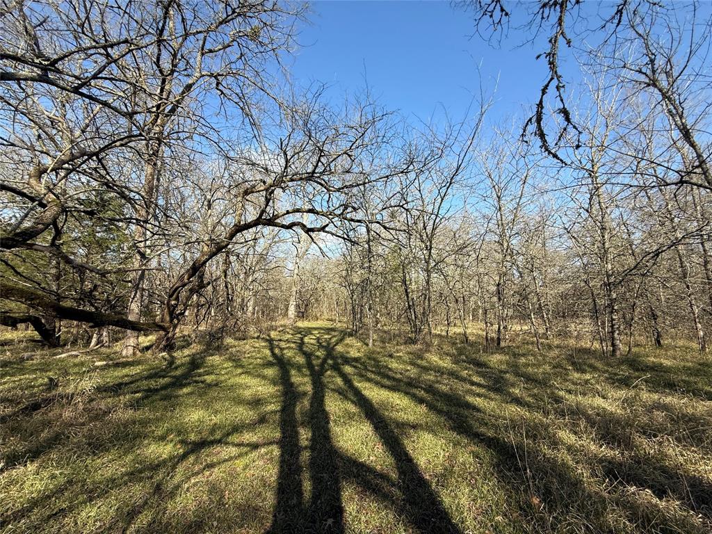 Ranches at Creekside - Land