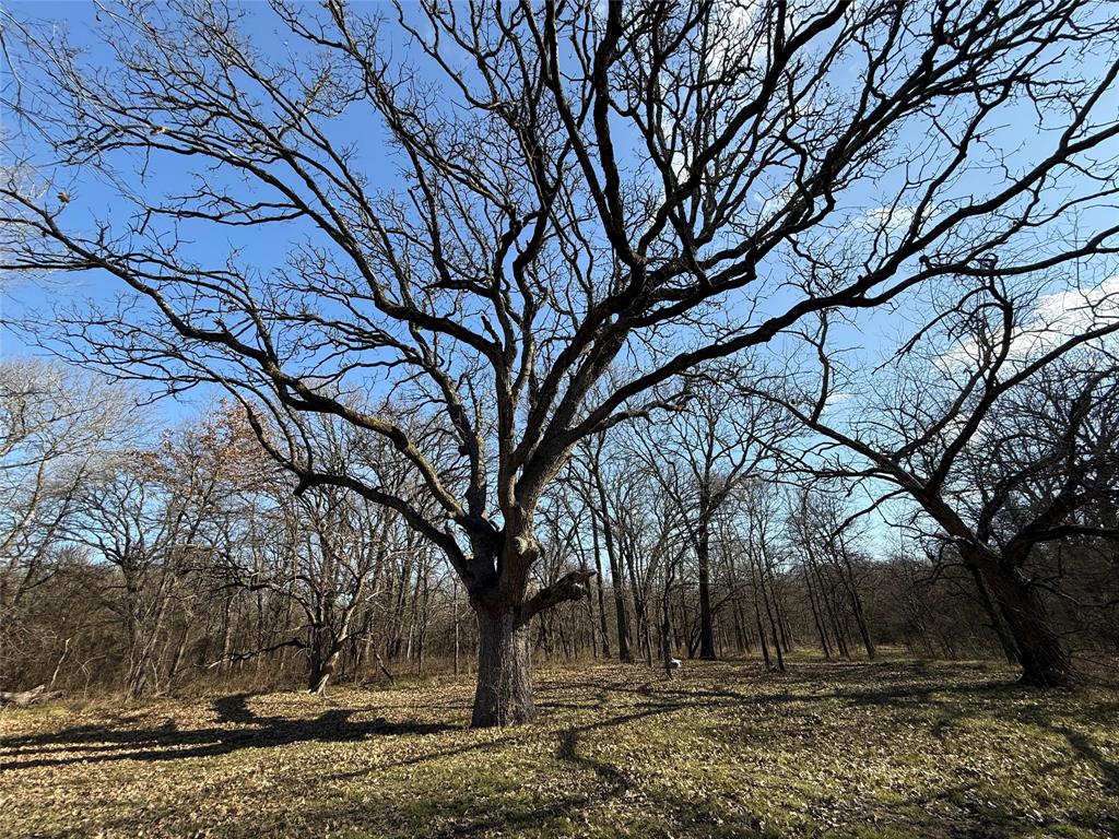 Ranches at Creekside - Land