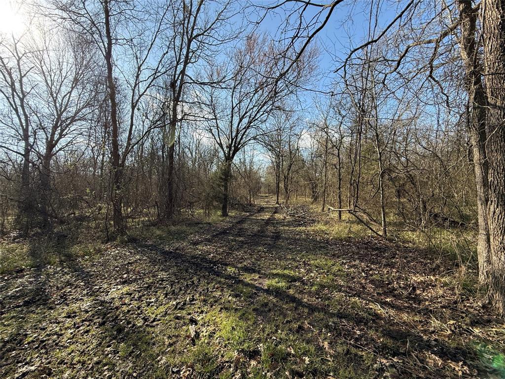 Ranches at Creekside - Land