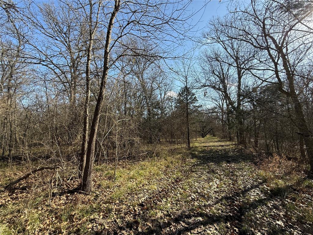 Ranches at Creekside - Land