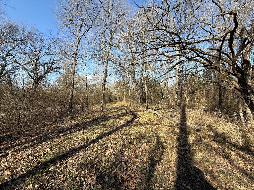 Ranches at Creekside - Land