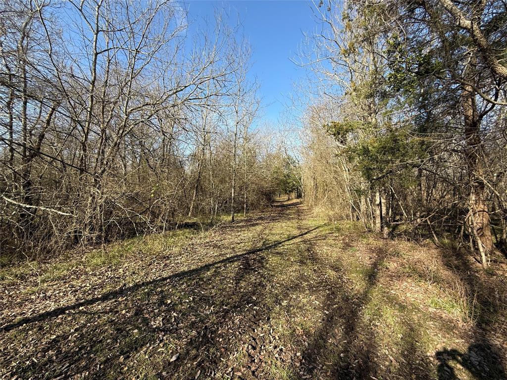 Ranches at Creekside - Land