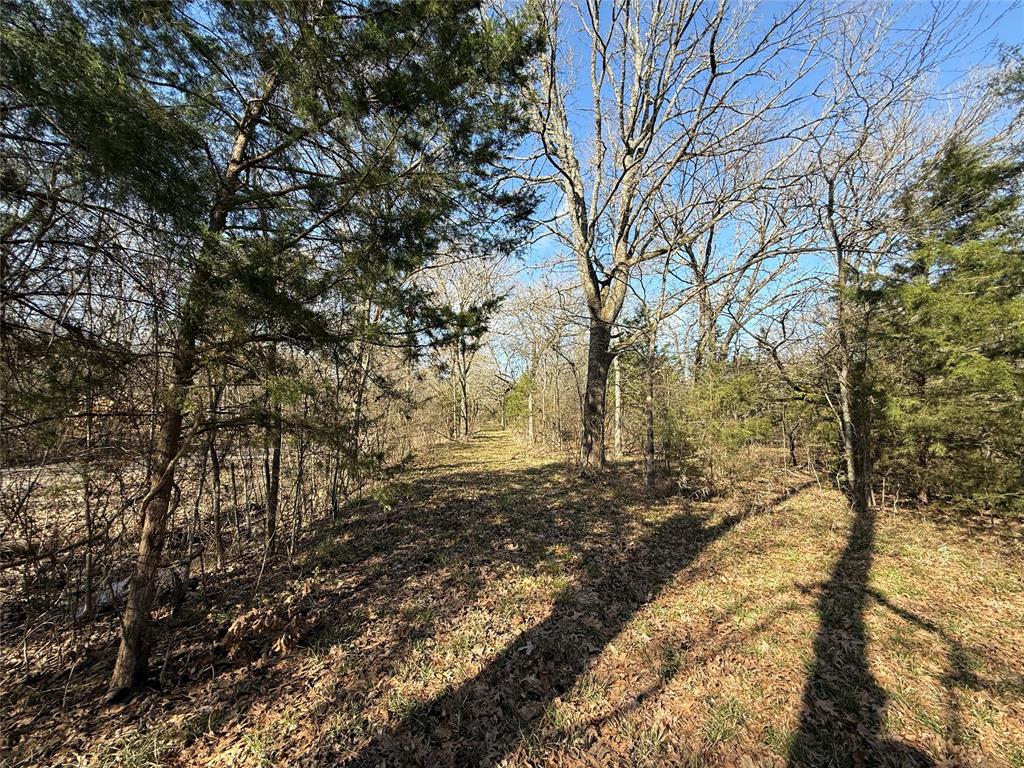 Ranches at Creekside - Land