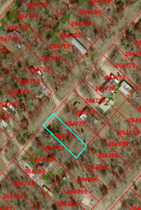 00 San Jacinto Drive Log Cabin TX 75148