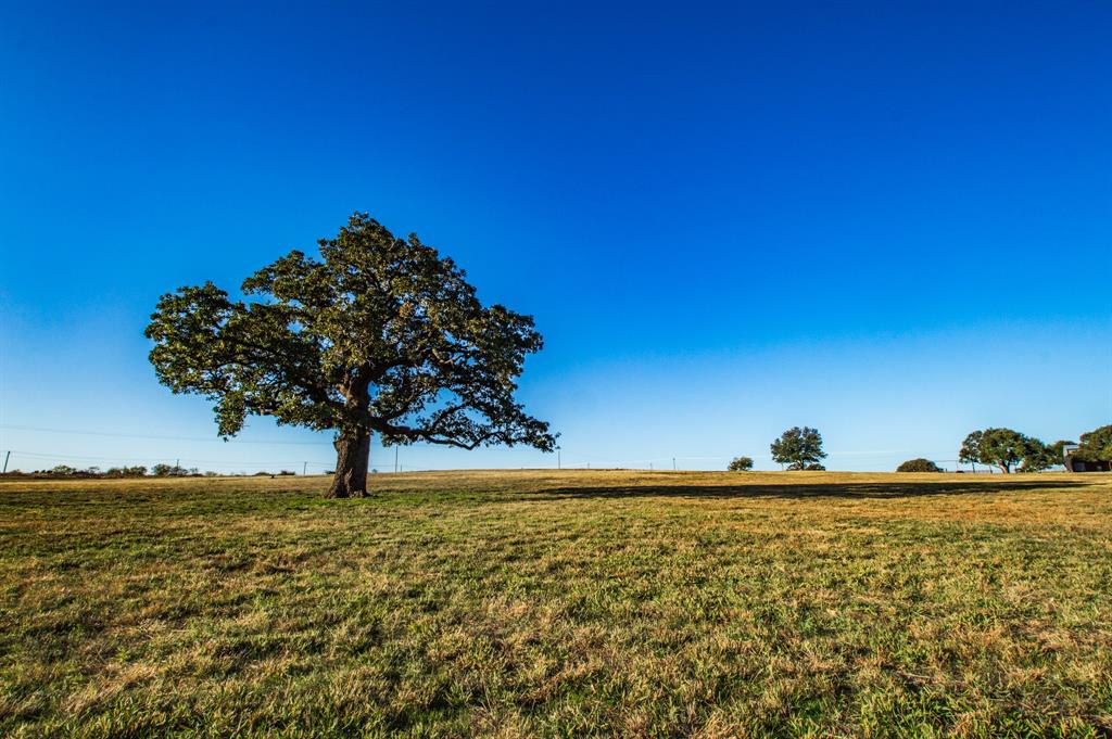 Te &  Co Survey Sec #2549 - Farm