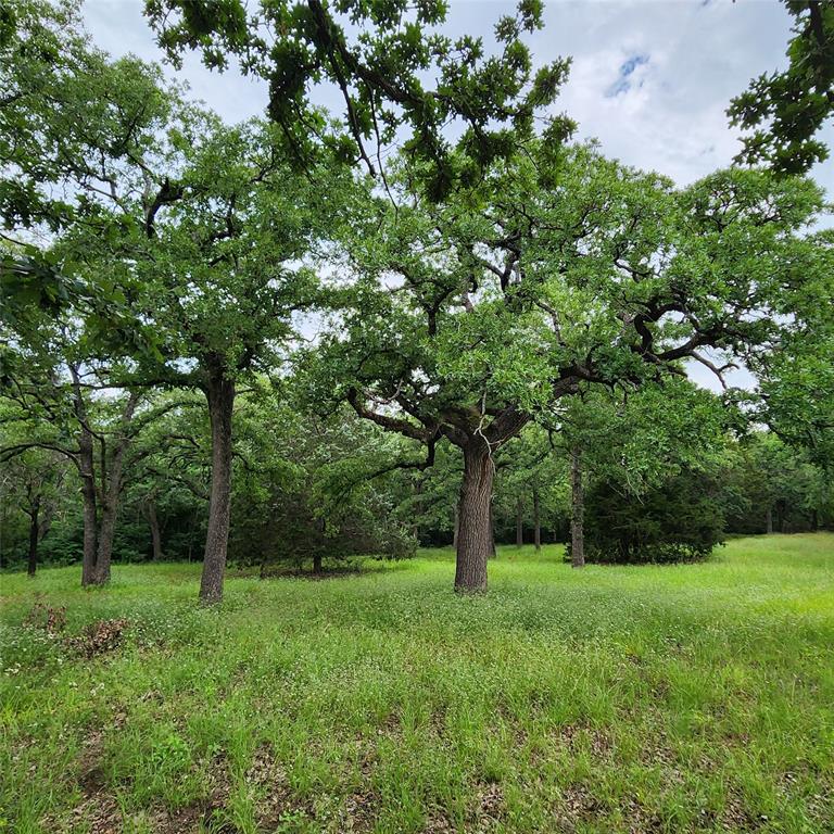 Oak Springs Ranch - Farm
