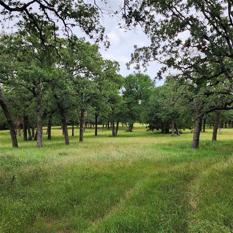 Oak Springs Ranch - Farm