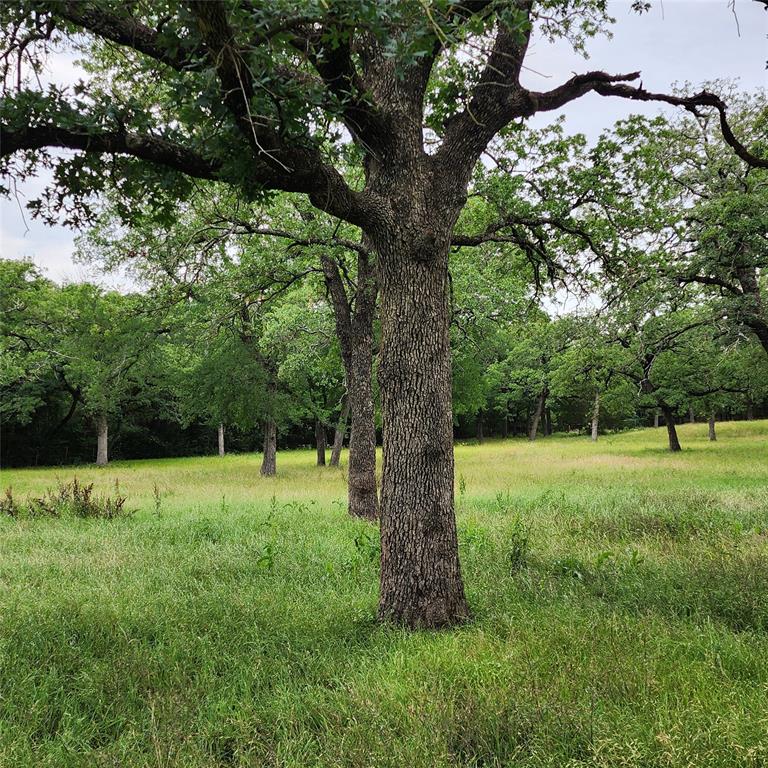 Oak Springs Ranch - Farm