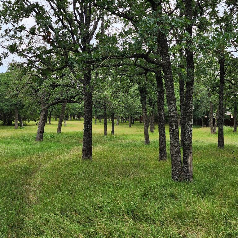 Oak Springs Ranch - Farm