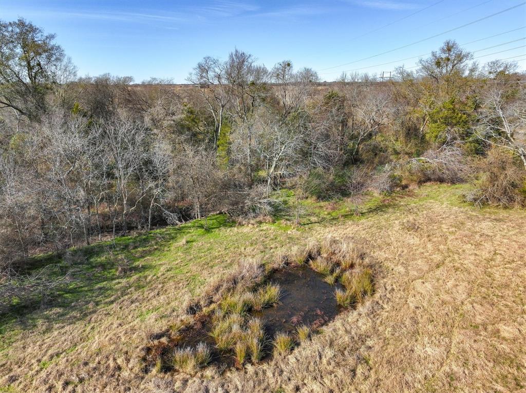 Thomas Mills Surv Abs #550 - Land