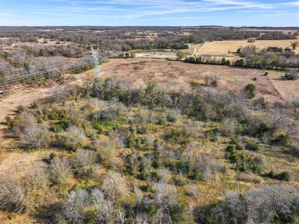 Thomas Mills Surv Abs #550 - Land