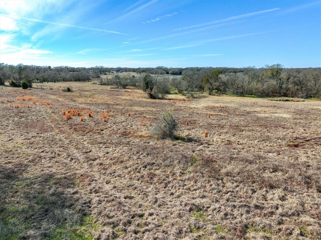 Thomas Mills Surv Abs #550 - Land