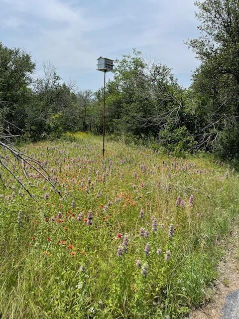 Wj Orrick & T J Bailey - Residential